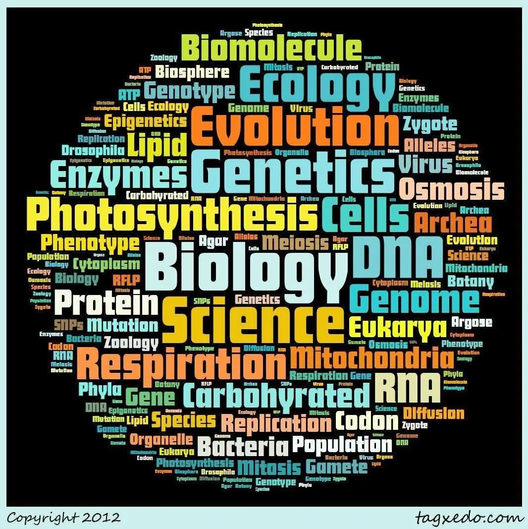 Biology Tution  (10-12 & NEET) by Priya Gaba