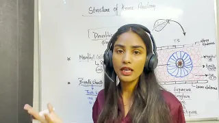 Classes (11-12) Biology & NEET biology