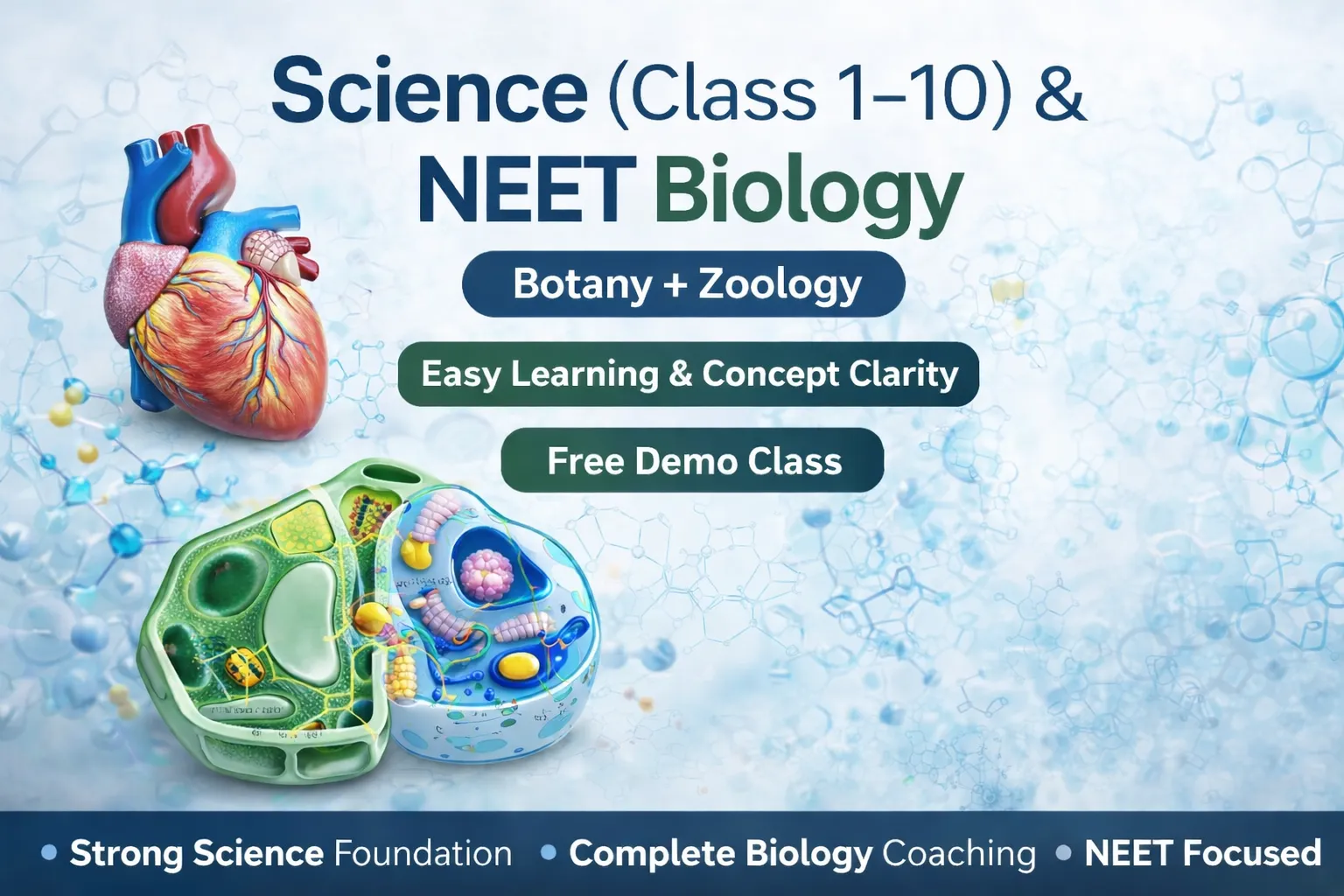 Foundation Science (1–10)